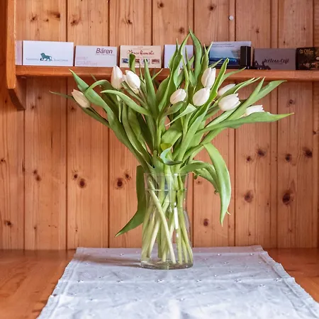 Lehen Apartment Freiburg im Breisgau